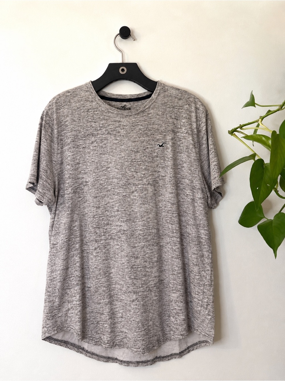 Hollister California Mens XL Space Heather Gray Embroidered Logo Curved Hem Tee